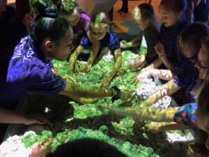 HoloSands at Cook Museum