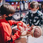 Children install artificial human body organs into an anatomy doll at Kyiv’s new Museum of Science on Oct. 3, 2020. The museum aims to spark children’s interest in science.