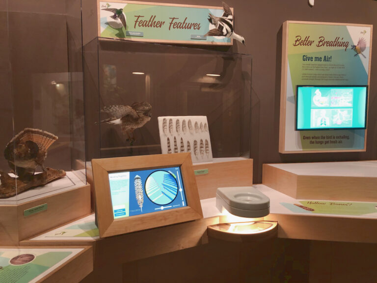 Zipper Up Exhibit at Cook Museum