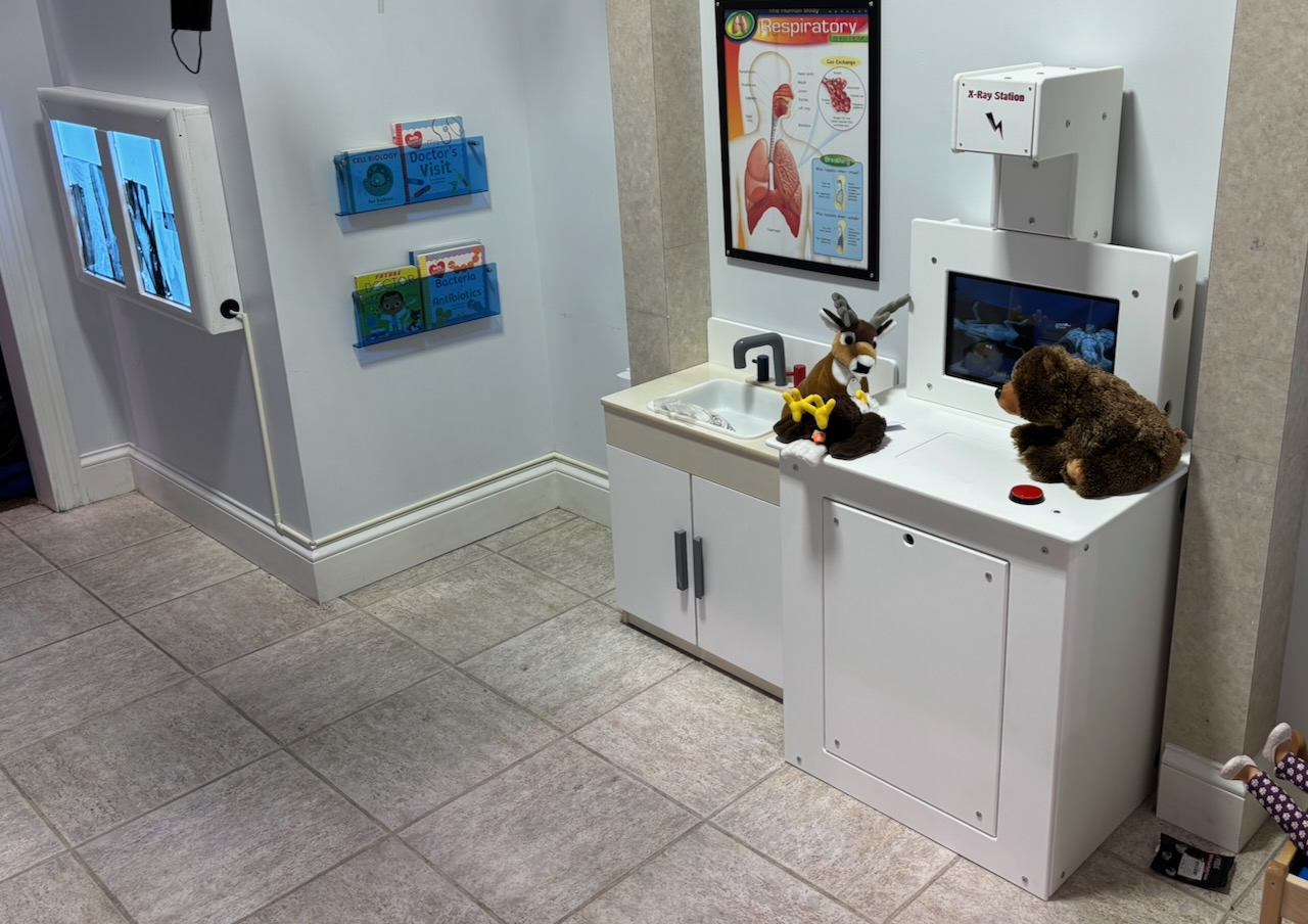 X-Ray exhibit at EarlyWorks Children’s Museum