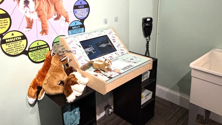 Desktop X-Ray Exhibit