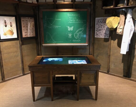 E.O. Wilson exhibit area