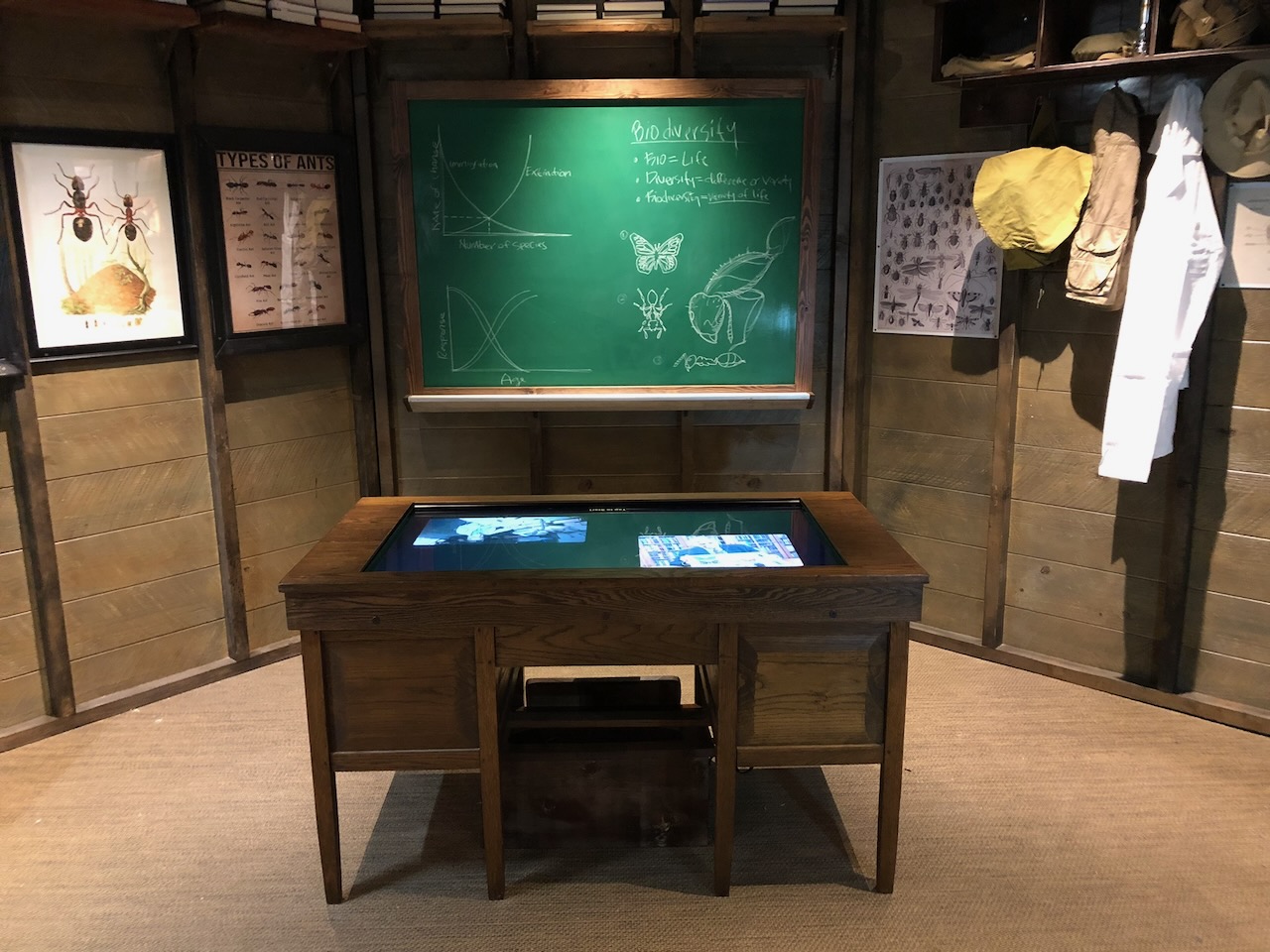 E.O. Wilson Ant Desk at Gulf Quest