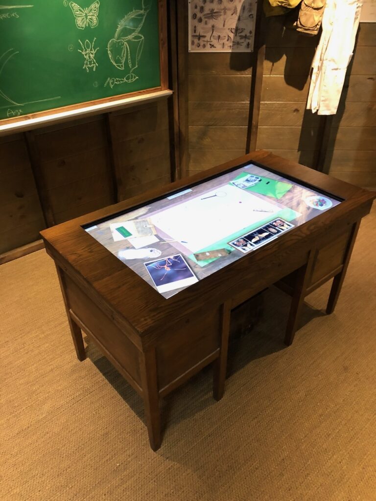 E.O. Wilson Ant Desk at Gulf Quest
