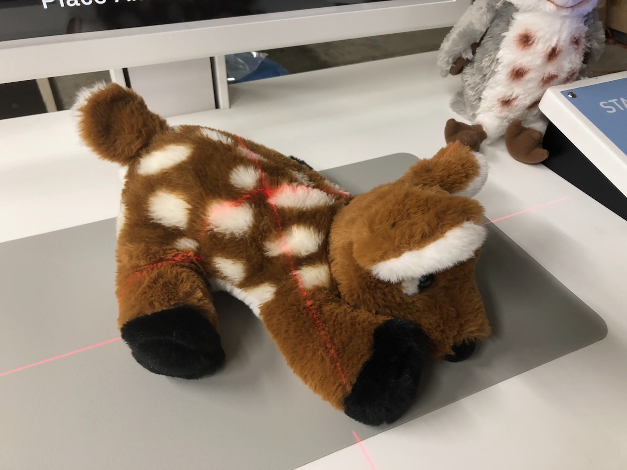 X-Ray exhibit at Imagine Children’s Museum